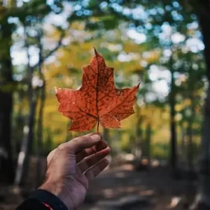 ¿Cómo obtener PR en Canadá?